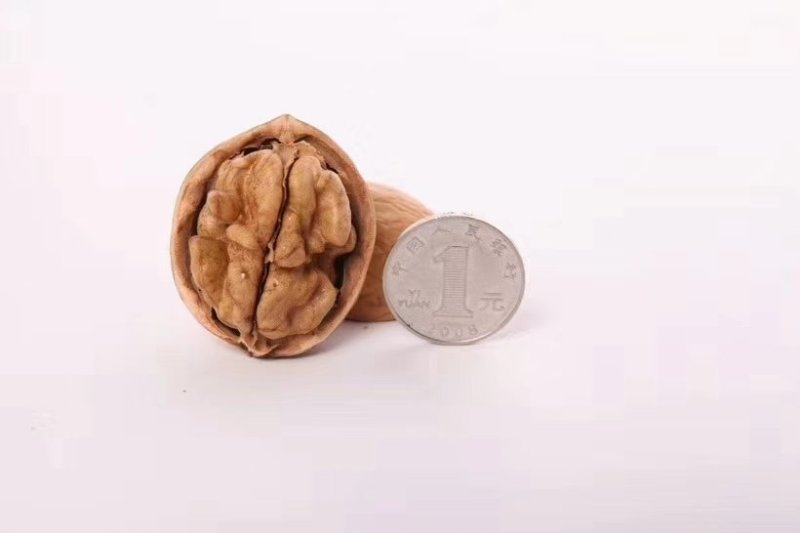 185纸皮核桃