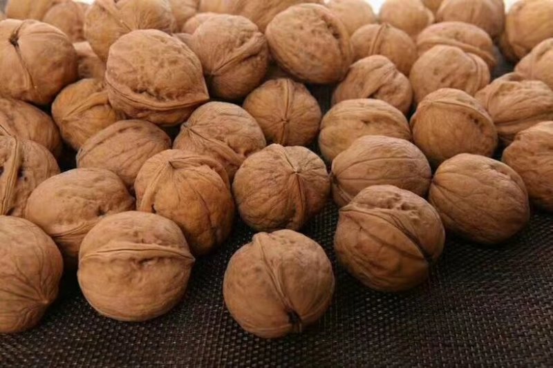 185纸皮核桃