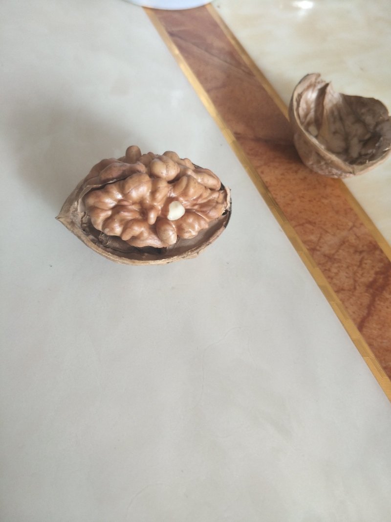 185纸皮核桃