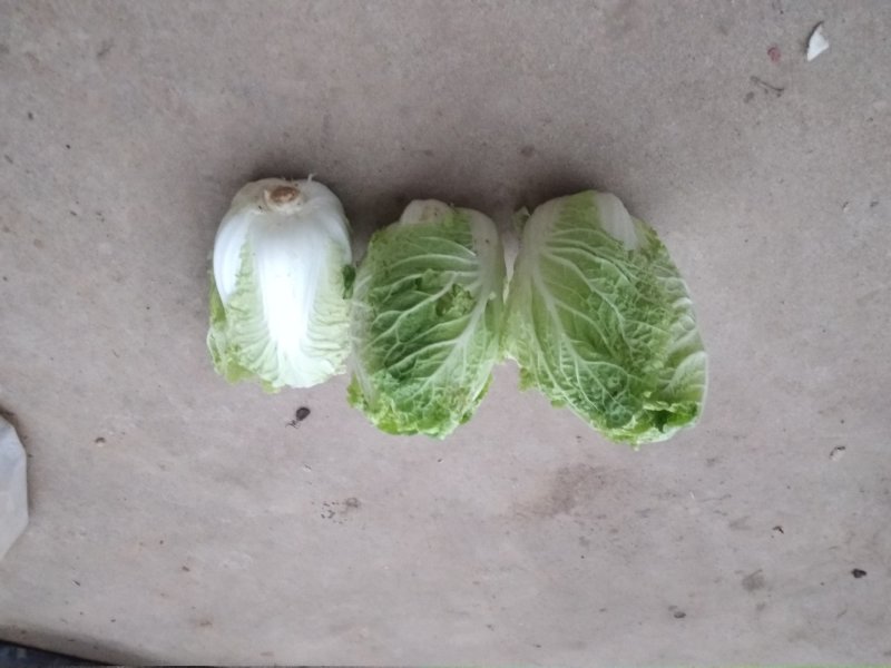 娃