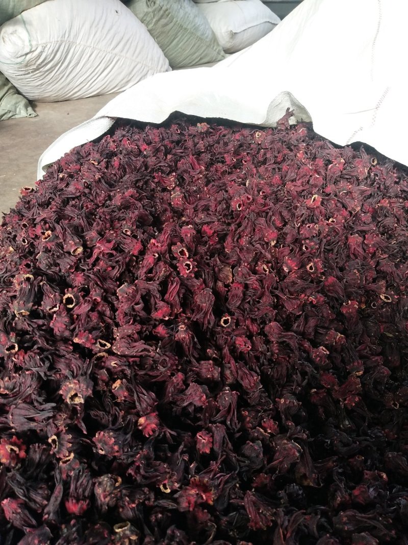 玫瑰茄