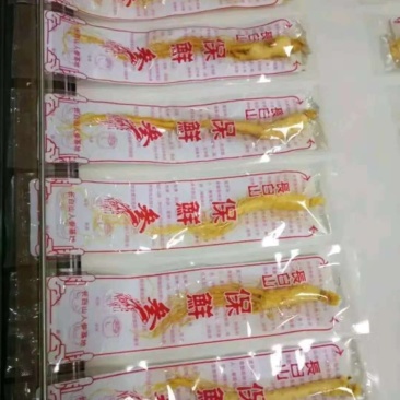 保鲜参，批发价，3块一颗可泡酒