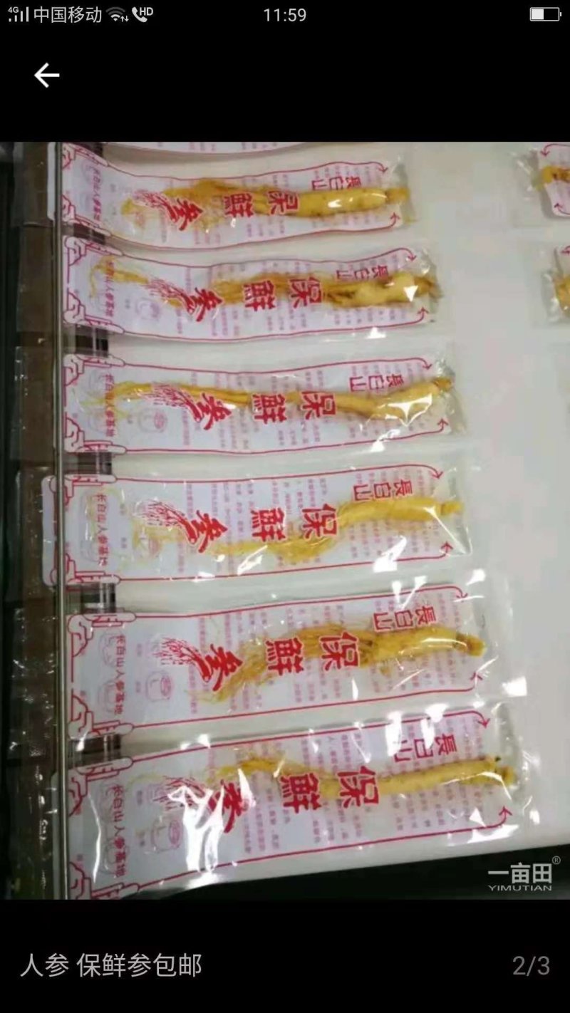 保鲜参，批发价，3块一颗可泡酒