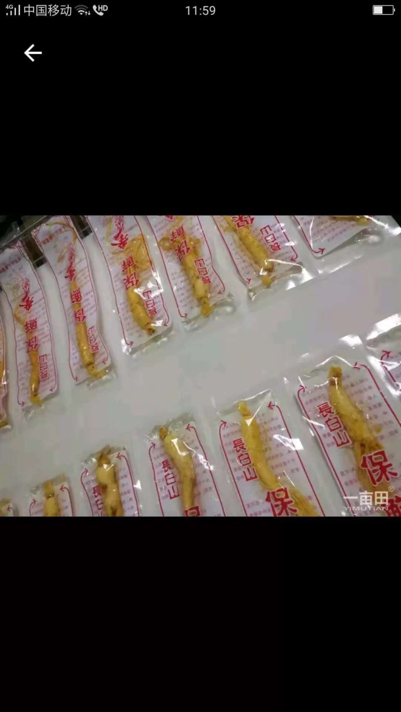 保鲜参，批发价，3块一颗可泡酒