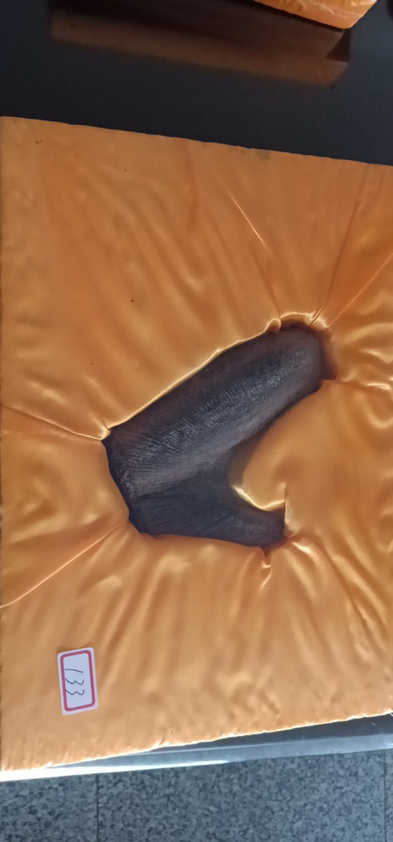 鹿茸