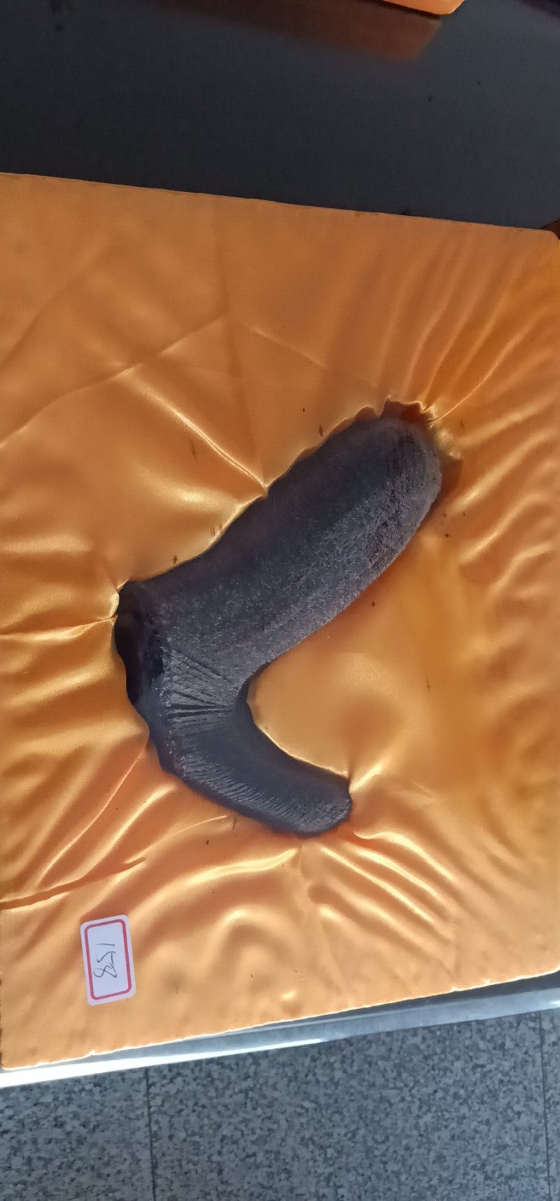 鹿茸