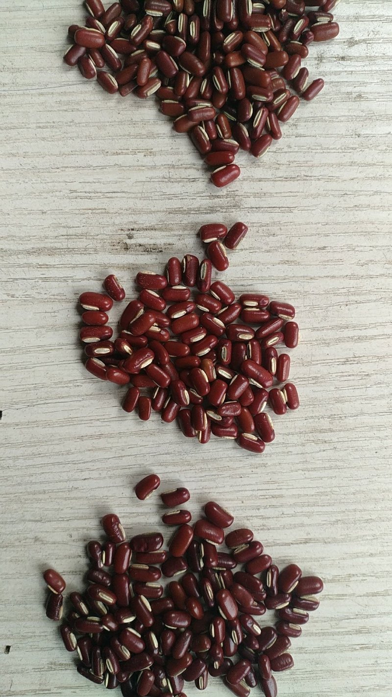 赤小豆