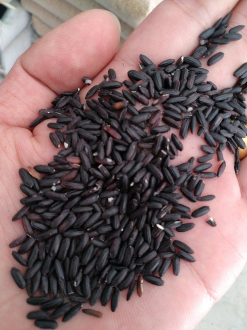 粮油作物