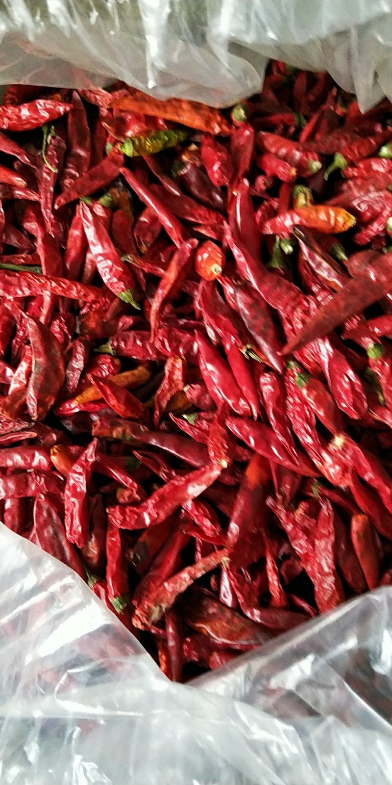 干辣椒特辣批发魔鬼椒超辣辣椒干香辣椒粉辣椒面正宗印度魔鬼