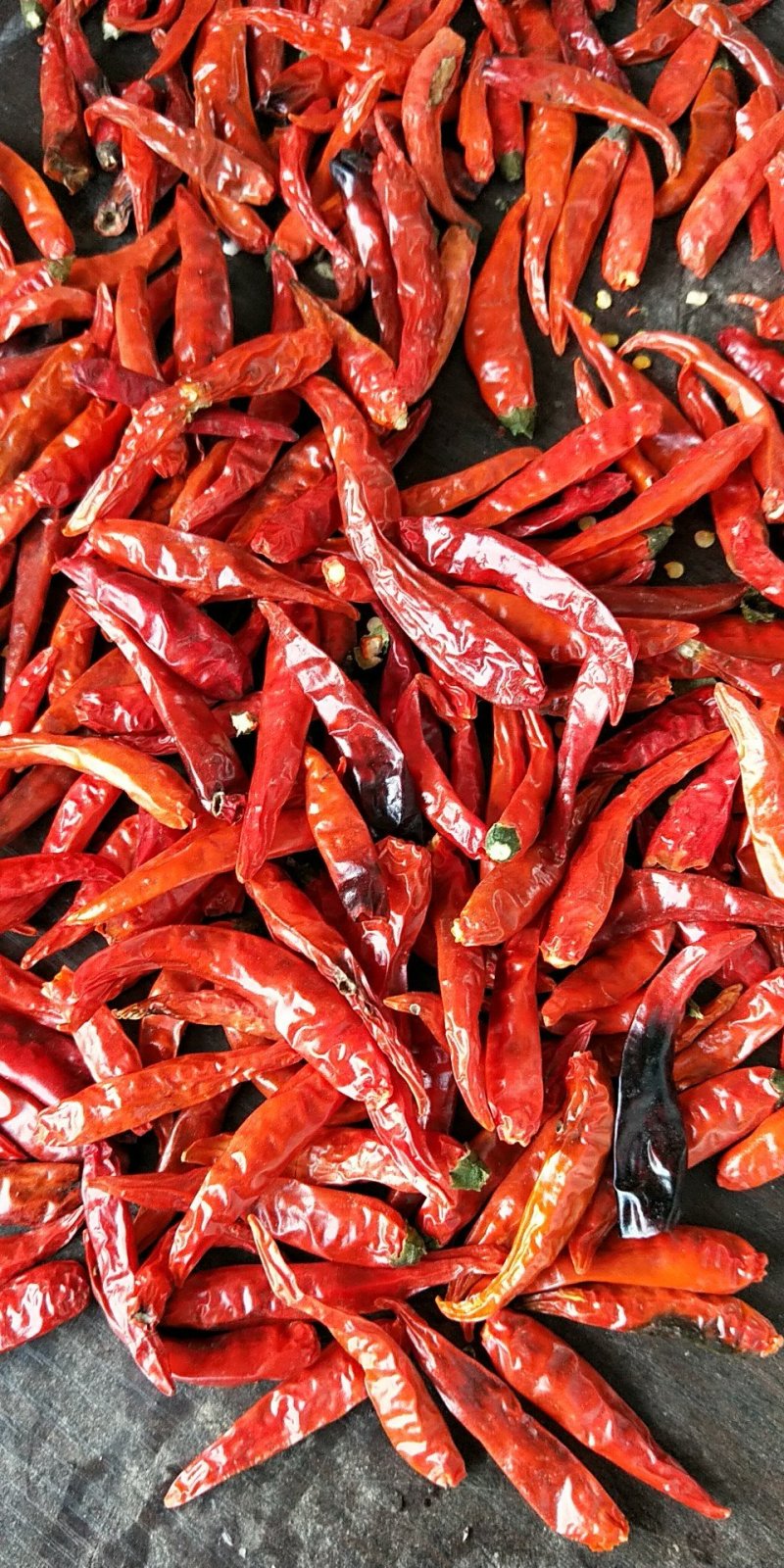 干辣椒特辣批发魔鬼椒超辣辣椒干香辣椒粉辣椒面正宗印度魔鬼