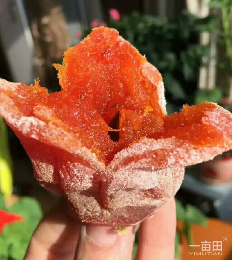青州特级柿饼霜降柿饼赛富平柿饼，香甜软糯