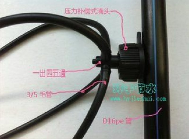 花卉滴灌