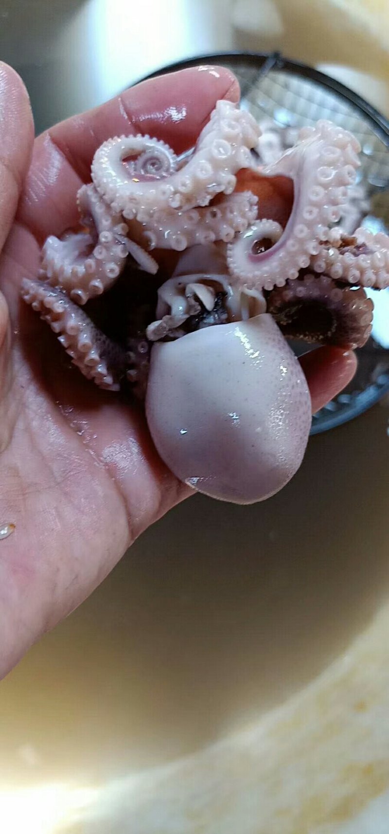 迷你小八爪