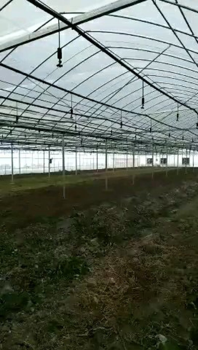 大棚吊挂微喷