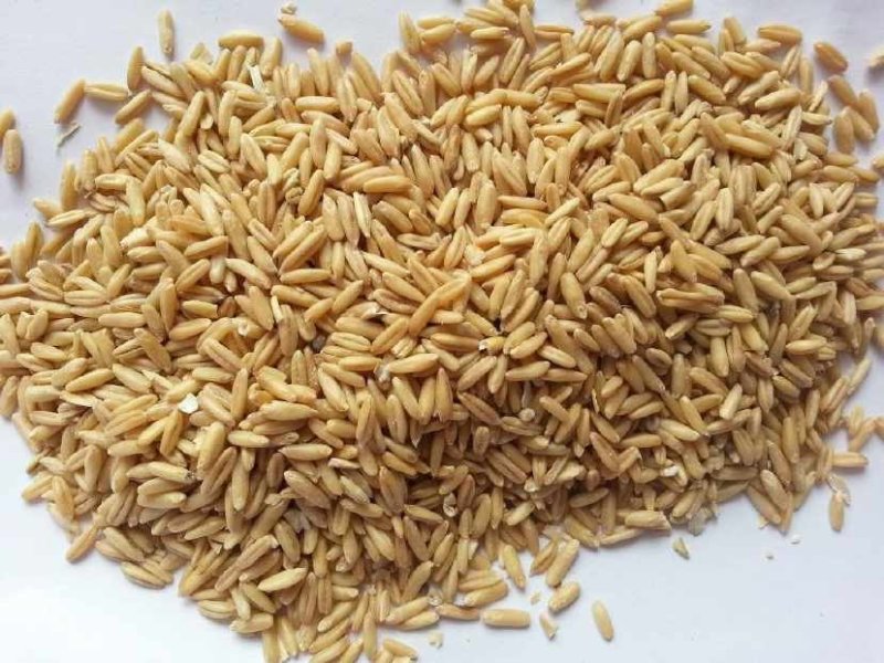 莜麦山西本地1级好产品