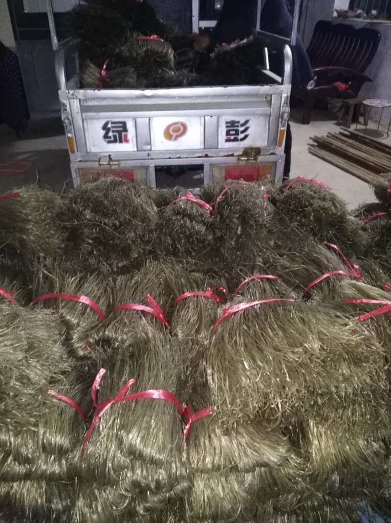 安徽山东纯山芋粉丝