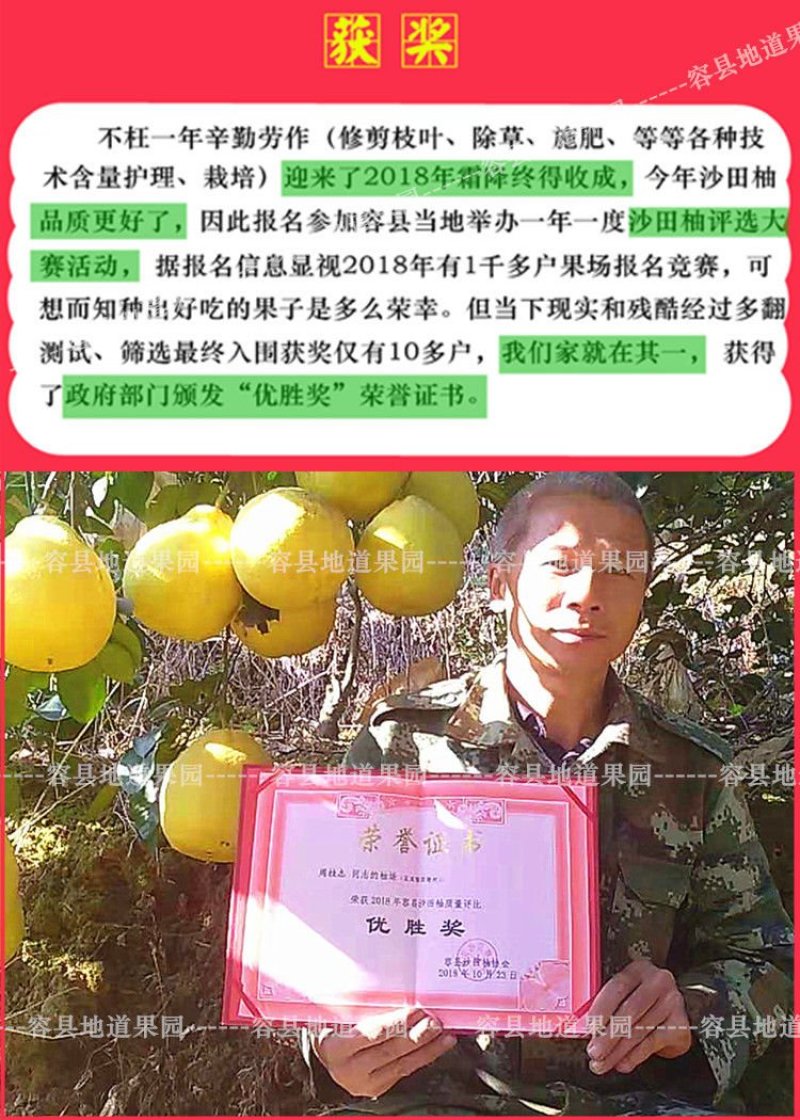 【正宗】广西容县沙田柚纯甜不酸水分好1.8斤以上