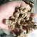 正规货源·全网低价·长期有货·黄芪·健康之选
