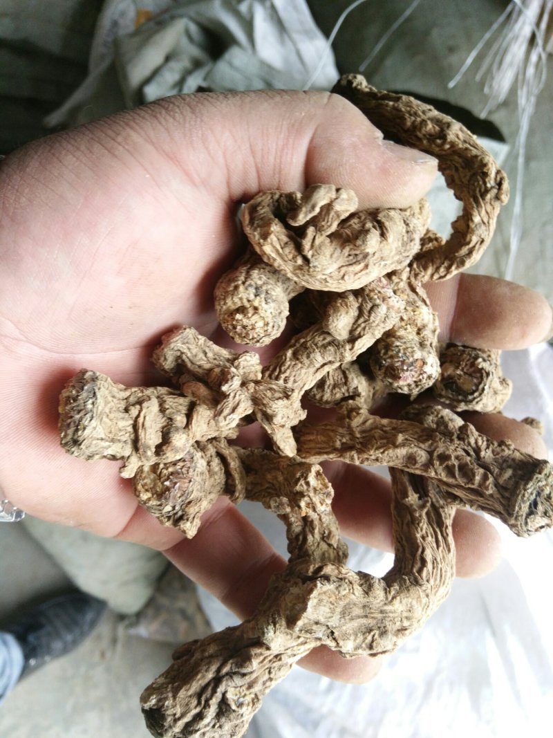 正规货源·全网低价·长期有货·黄芪·健康之选