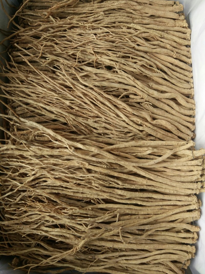 正规货源·全网低价·长期有货·黄芪·健康之选