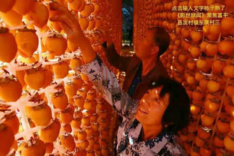本人出售富平庄里柿饼两万斤。价钱面意电话17343959
