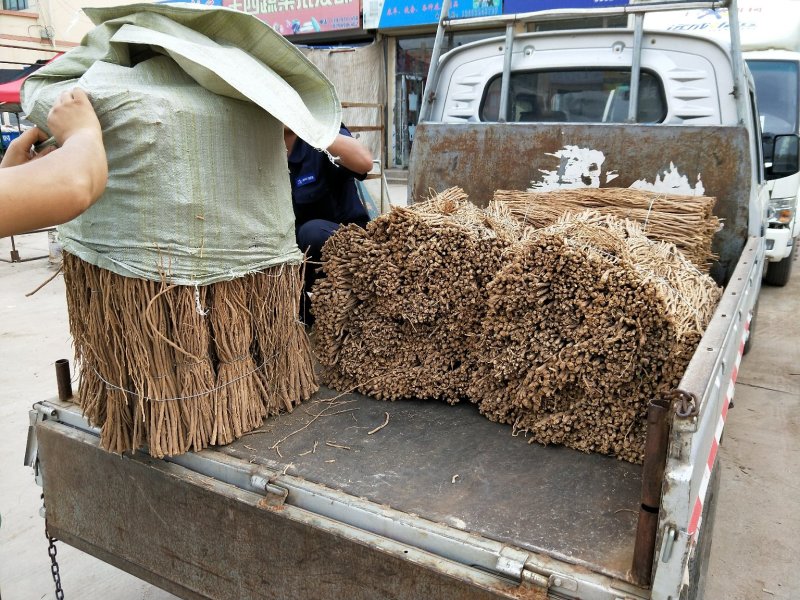黄芪条甘肃产地批发零售，货源充足