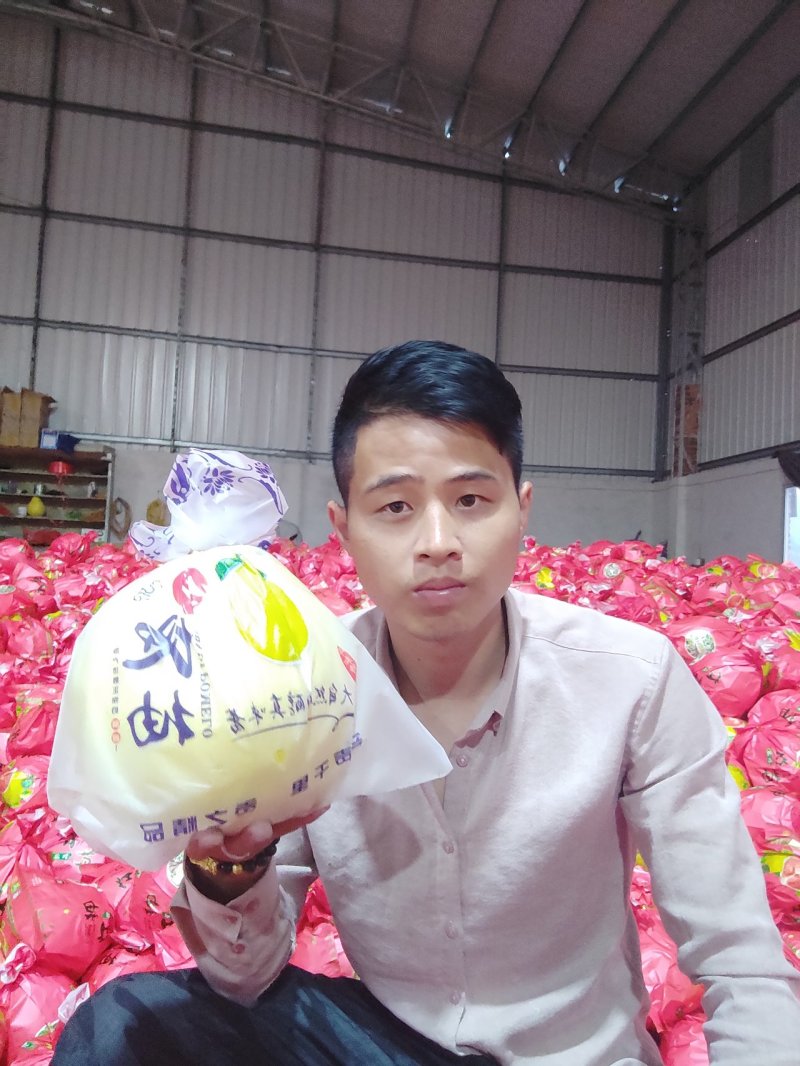 平和琯溪蜜柚大量产地直发品质保证大量批发