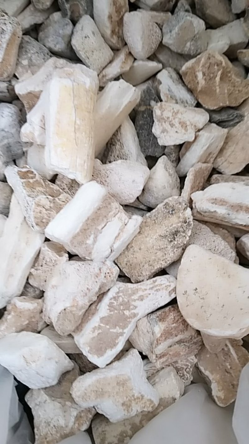 龙骨，中药材龙骨