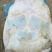 中华甲鱼八年以上老鳖