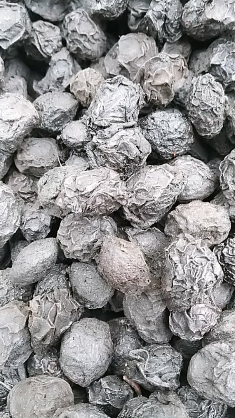乌梅，烟熏。中药材乌梅，