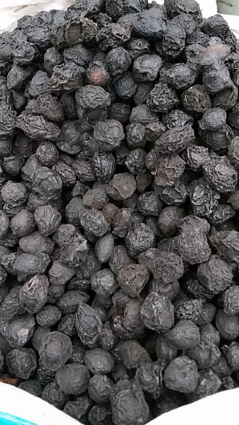 乌梅，烟熏。中药材乌梅，