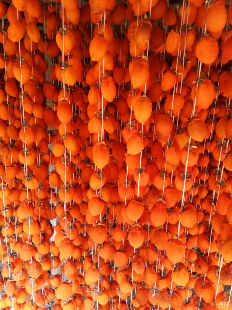 青州霜饼大量上市，现货供应，支持一件代发