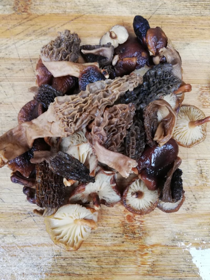 羊肚菌