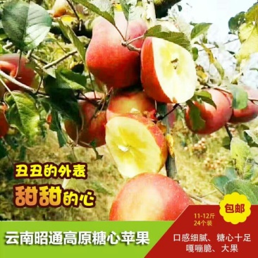 昭通丑苹果75以上大果10---12斤24个装包邮