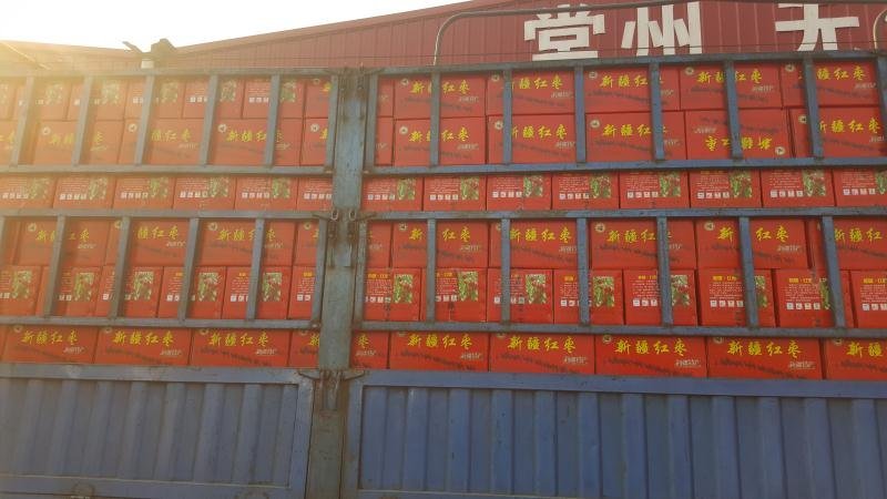和田大枣新货厂家大量供应销量大利率高可仓库视频看货