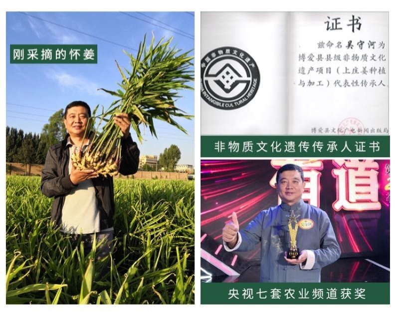 博爱怀姜，生姜，四大怀药产地