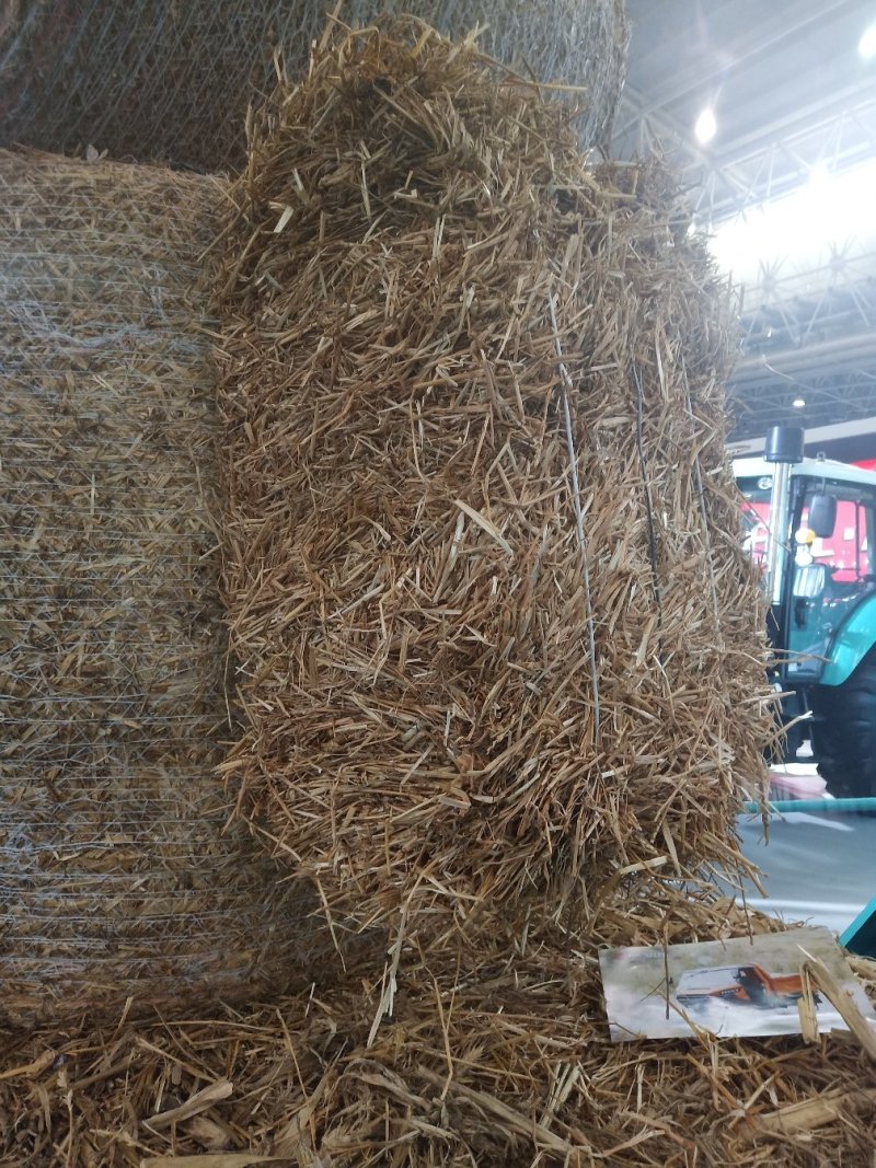 可以长期提供稻草，生物质颗粒