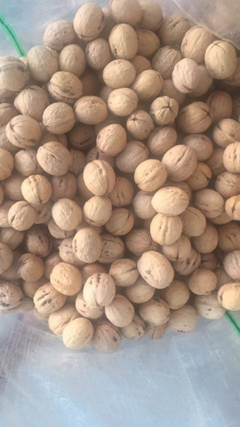 香玲核桃产地黄龙皮薄仁满无苦涩味