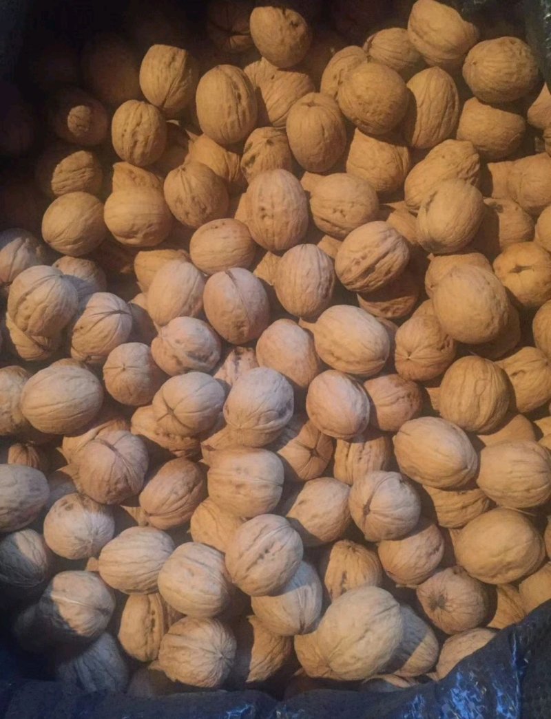 香玲核桃产地黄龙皮薄仁满无苦涩味