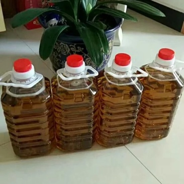 茶油