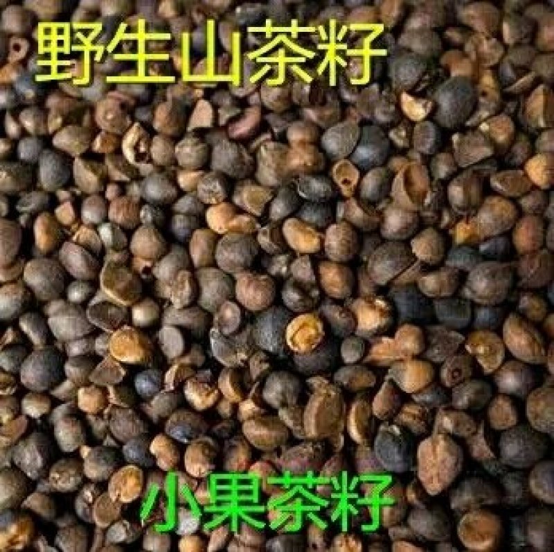 茶油