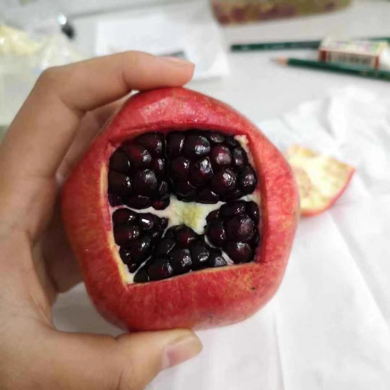黑宝石石榴树苗