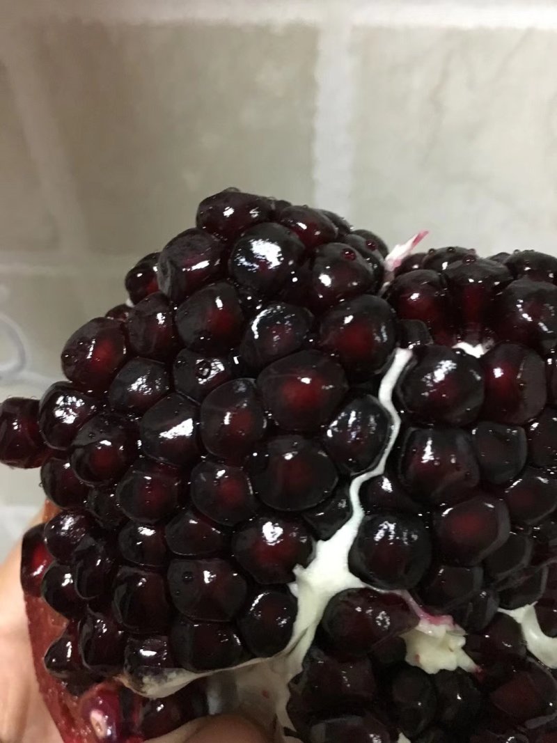 黑宝石石榴树苗