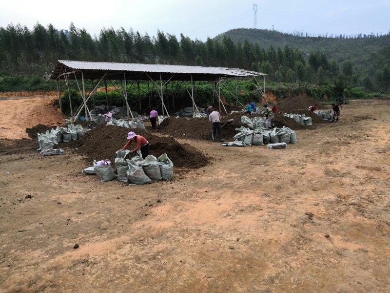 广东发酵牛粪袋装的发酵牛粪粪肥果树疏松土壤