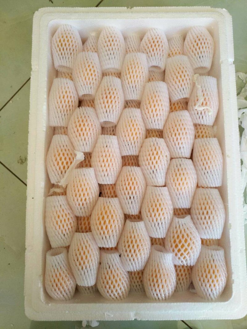 水果蒙自枇杷_解放钟枇杷中果至大果