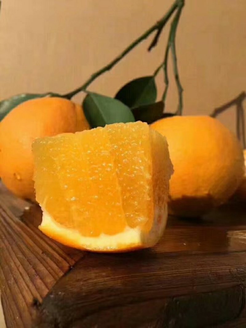 赣南脐橙