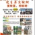 杂交金丝楸树