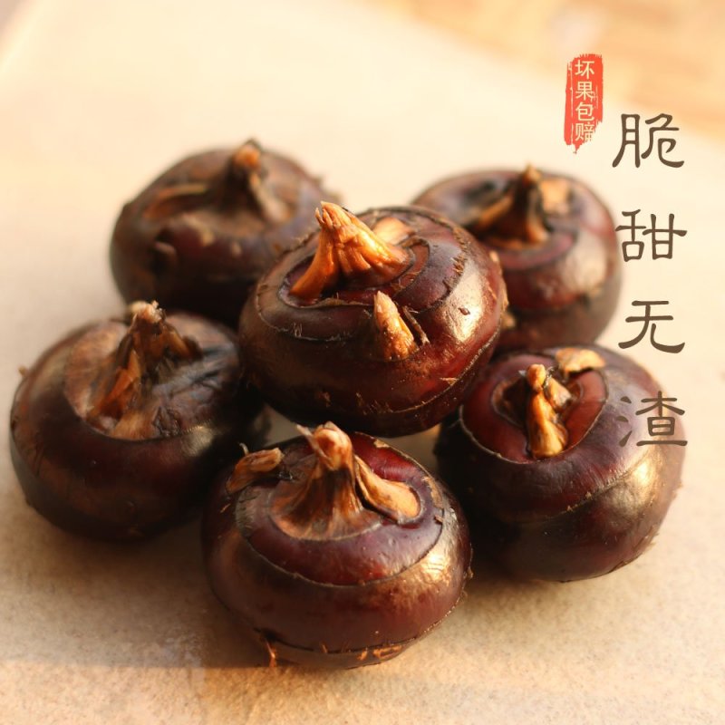广西桂林荔浦马蹄荸荠新鲜现挖大果量大优惠