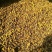 野菊花