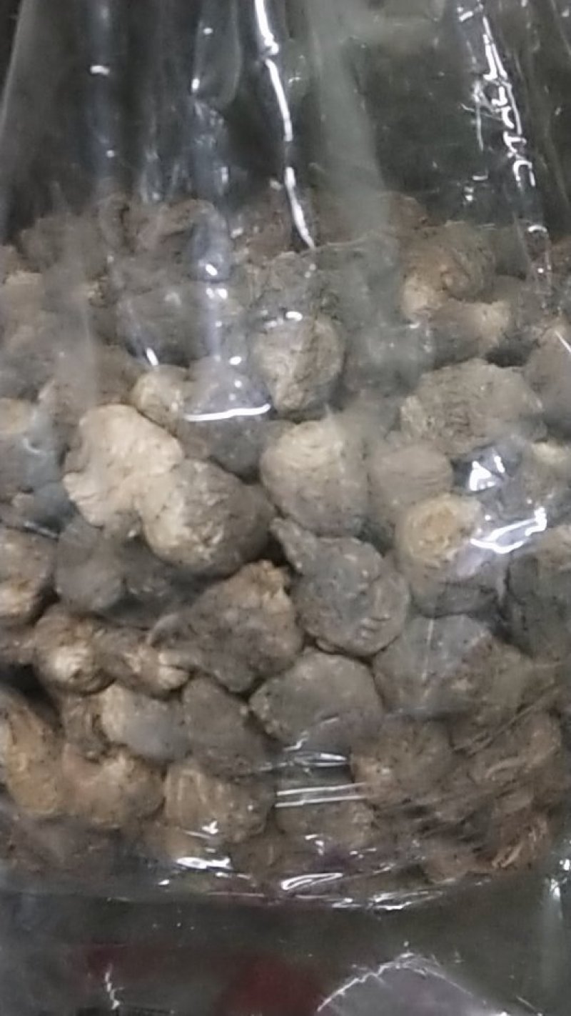 云南黑玛卡